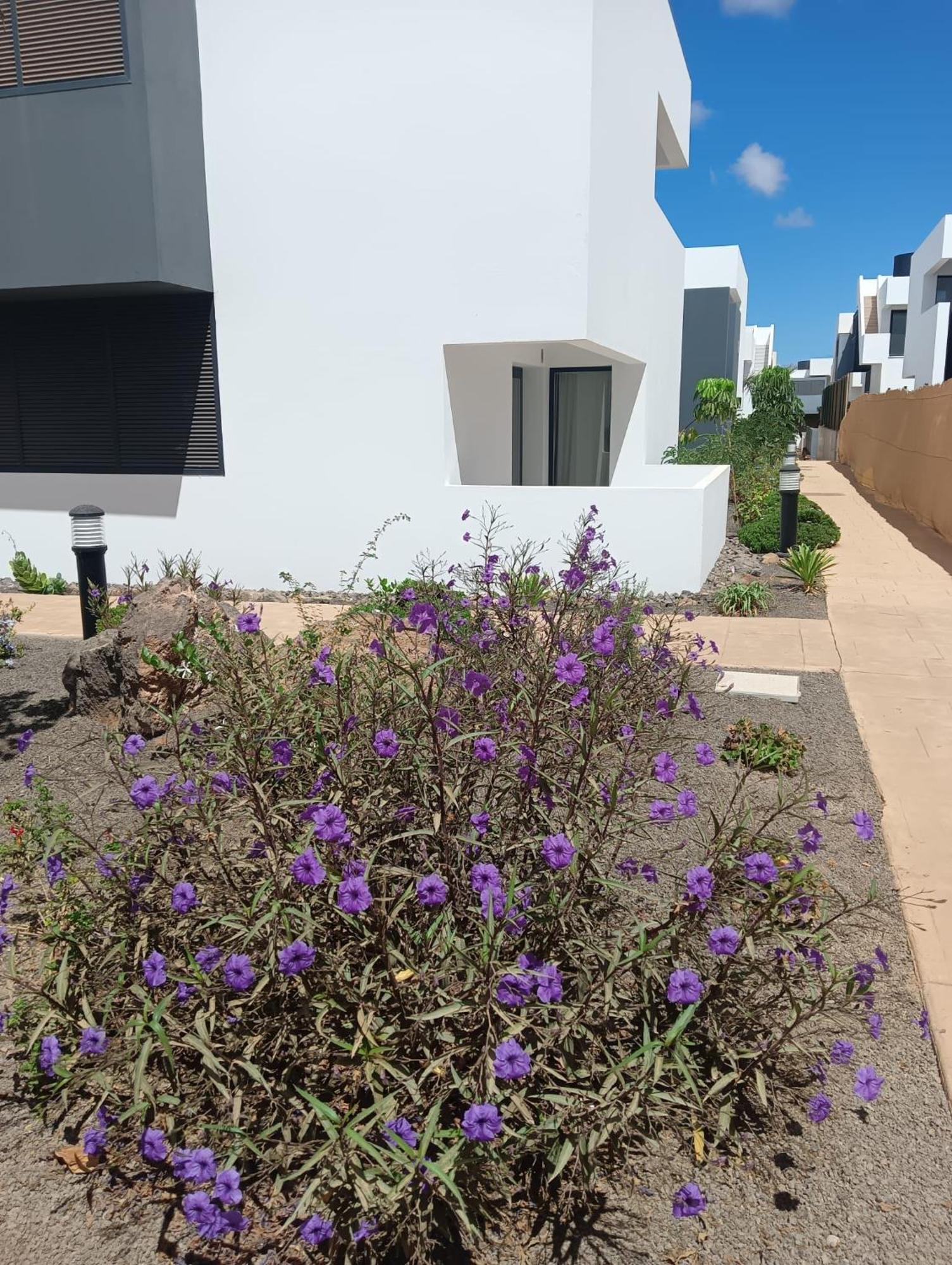 Aulaga Apartment Villaverde  Exterior foto
